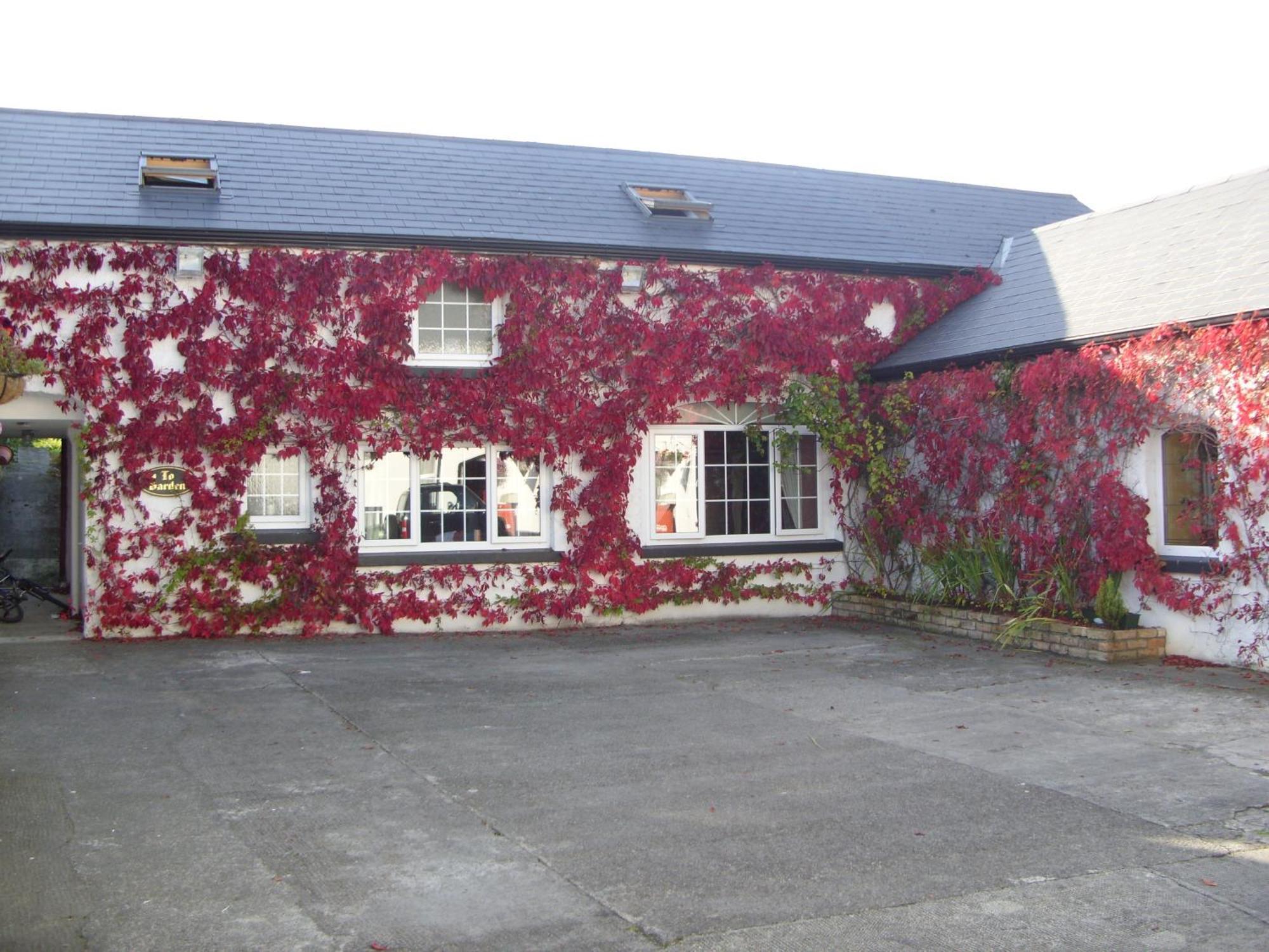 Townsend House Guest House Birr Exterior foto